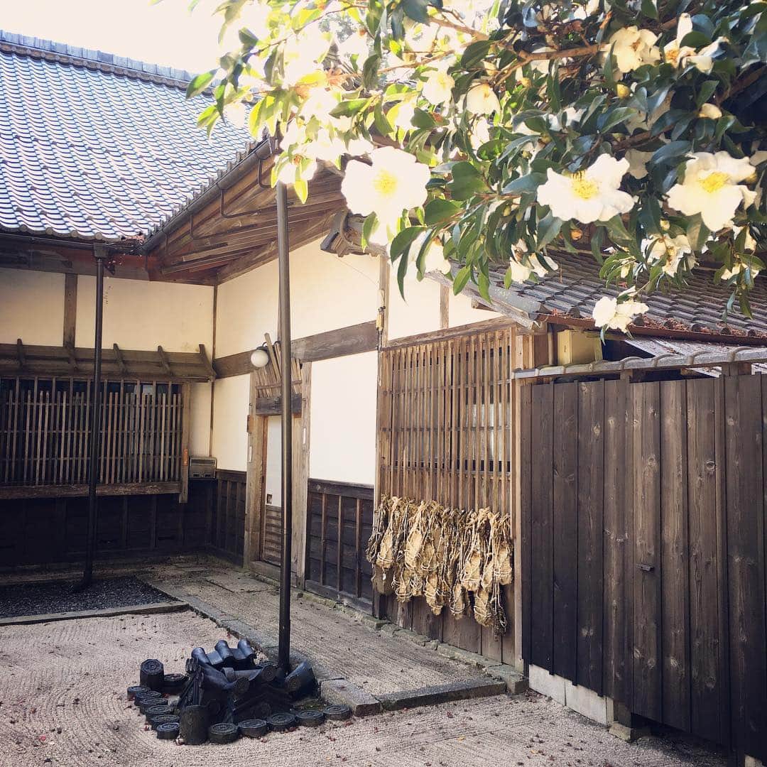 のインスタグラム：「比叡山の谷深い無動寺の玉照院にて、釜堀浩元大阿闍梨様に御加持を賜わるというこのうえないご縁をいただきました。強く美しい根っこのような素足がとても印象的でした。 ・ Very honored to visit deep in the valley to receive blessings by a very special monk - one of the legendary Marathon monks who run 1,000 marathons in 1,000 days in their quest to reach enlightenment. Those who succeed become revered, as human Buddhas or living saints. It is rare that a monk embarks on the 1,000-day challenge, or kaihogyo, and even rarer that one completes it. In the last 130 years, only 46 men have managed it.」