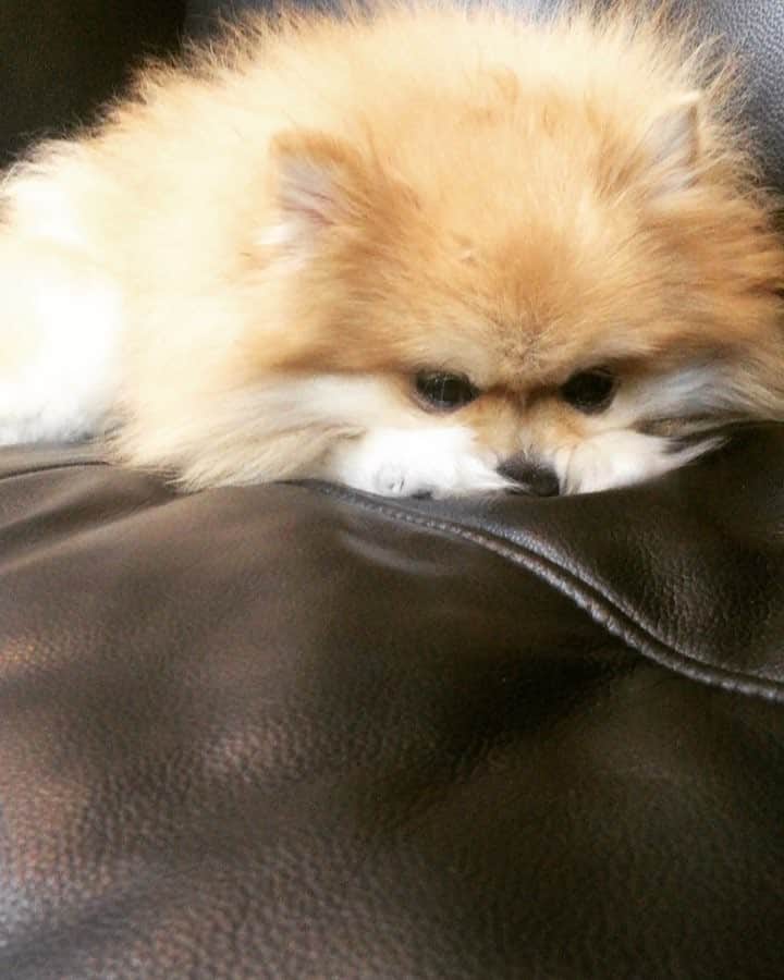 山崎みどりのインスタグラム