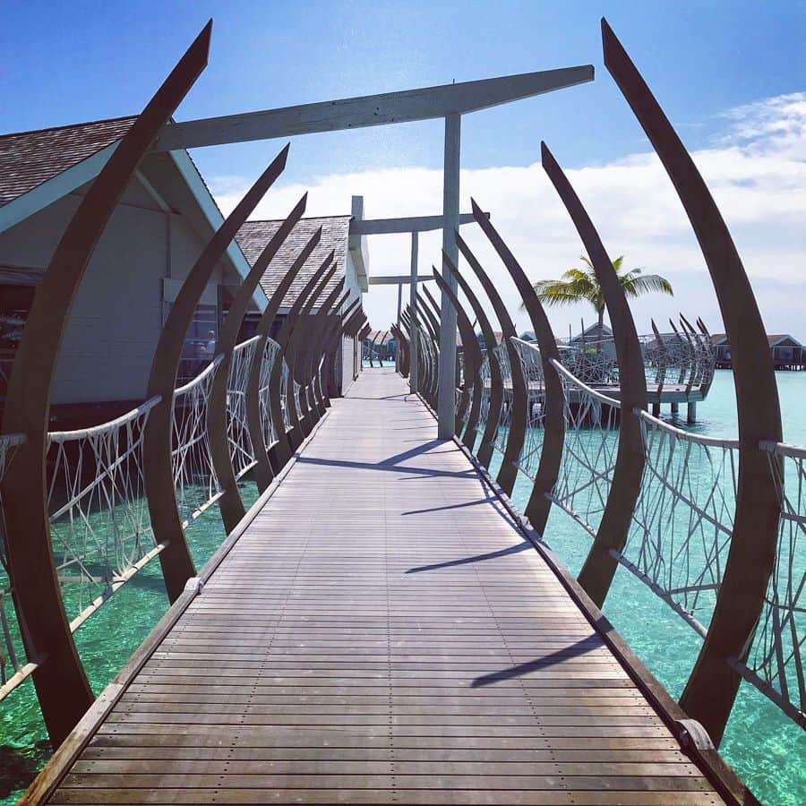 高橋絵理のインスタグラム：「Good morning ...☀️💕🏖 朝ごはんに向かう道にはお魚がたくさんいて。シュノーケリングして友達になりました🐠  #birthdaytrip #sea #blue  #maldives  #luxsouthariatoll #lategram #travelgram #beautiful」