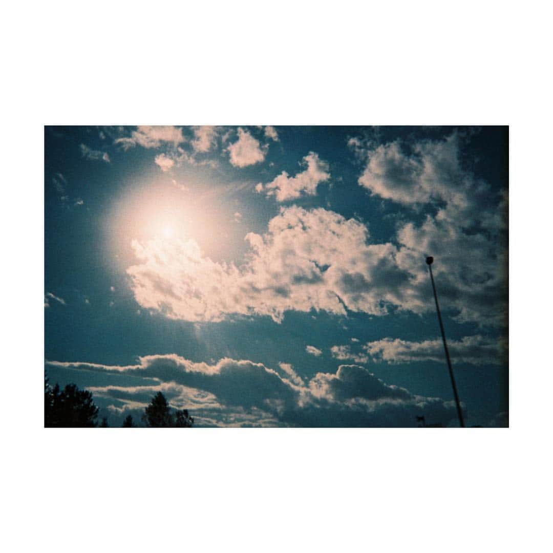 芳根京子さんのインスタグラム写真 - (芳根京子Instagram)「おはようございます☺︎ #film #北海道」11月14日 8時31分 - yoshinekyoko