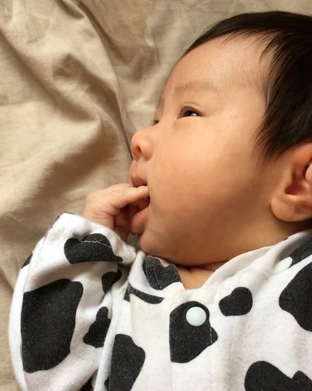 宮坂桃子のインスタグラム：「出産してから体調を崩してばかりでなかなかお家に帰ってあげられず…実家には大変お世話になってしまってます😭👶🏻 ありがとう😊 早く治して帰るから待っててねパパ👶🏻 #1ヶ月」