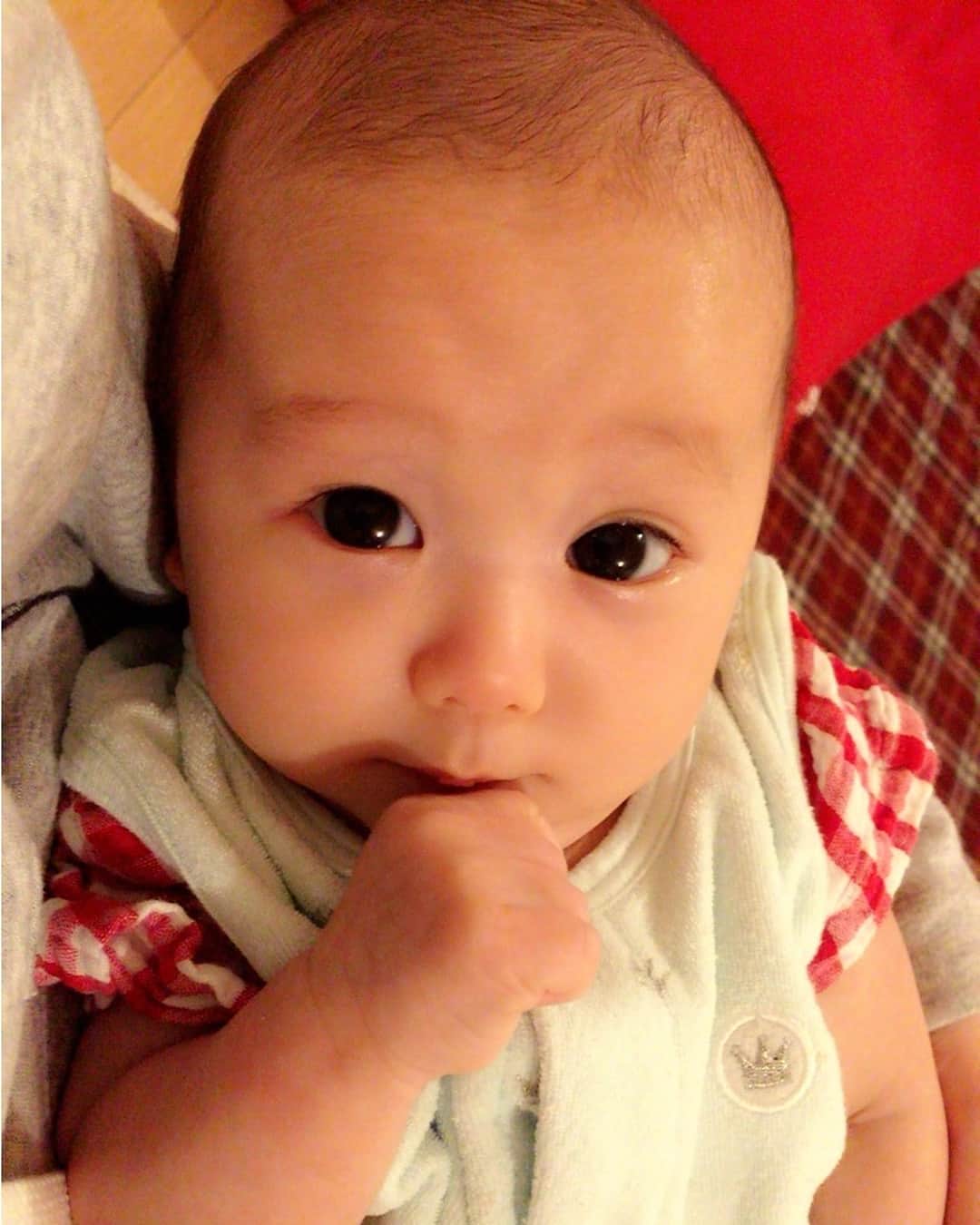 下田美咲さんのインスタグラム写真 - (下田美咲Instagram)「ぶりっ子してて可愛い。そして指しゃぶりを覚えたみたい可愛い。  #boy #赤ちゃん #baby #生後2ヶ月 #息子」11月15日 2時00分 - shimodamisaki815
