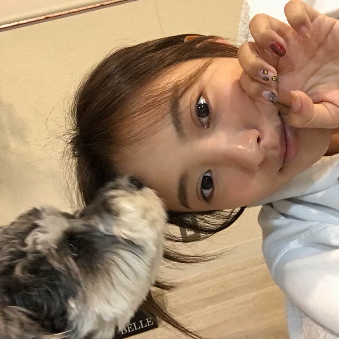 夏菜さんのインスタグラム写真 - (夏菜Instagram)「new💅 今回はなんかニュアンス系〜にしてもらった(´ . .̫ . `) @jun2116_official いつもありがとうー💜💜💜 ベルちゃんいつもかわいい😍💓」11月14日 22時26分 - natsuna_official