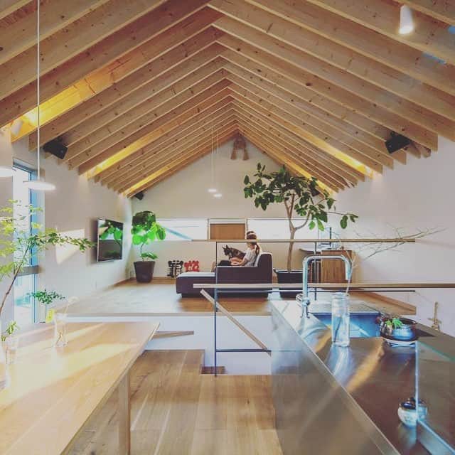 SuMiKaさんのインスタグラム写真 - (SuMiKaInstagram)「自然の光がやわらかく室内に届き、三角屋根の個性的な高めの天井が家族の団欒を包み込む。 こんなリビングで寛ぎたいなぁ、と思う家を見つけました♪  建築家akkaさんの作品です。 ［http://bit.ly/2z0NSJv］  #リビング #吹き抜け #建築家とつくる家 #大きな窓  #トップライト #新築一戸建て #白い壁 #マイホーム記録」11月15日 9時34分 - sumika_living