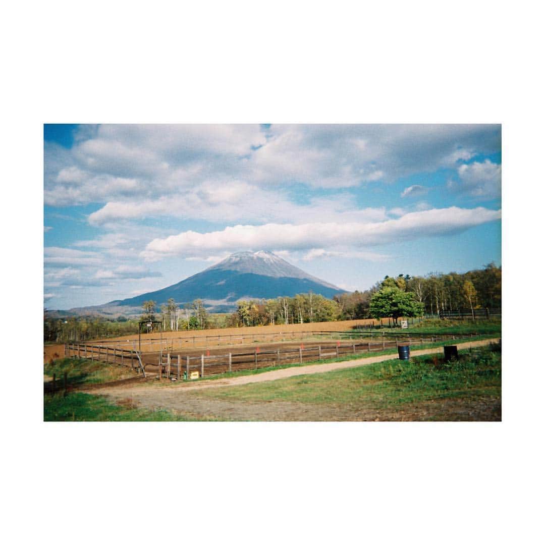 芳根京子さんのインスタグラム写真 - (芳根京子Instagram)「北海道の写真ありすぎでしょ。 なんせフィルム４本分くらいありましたので。。笑  #film  #北海道」11月15日 17時22分 - yoshinekyoko