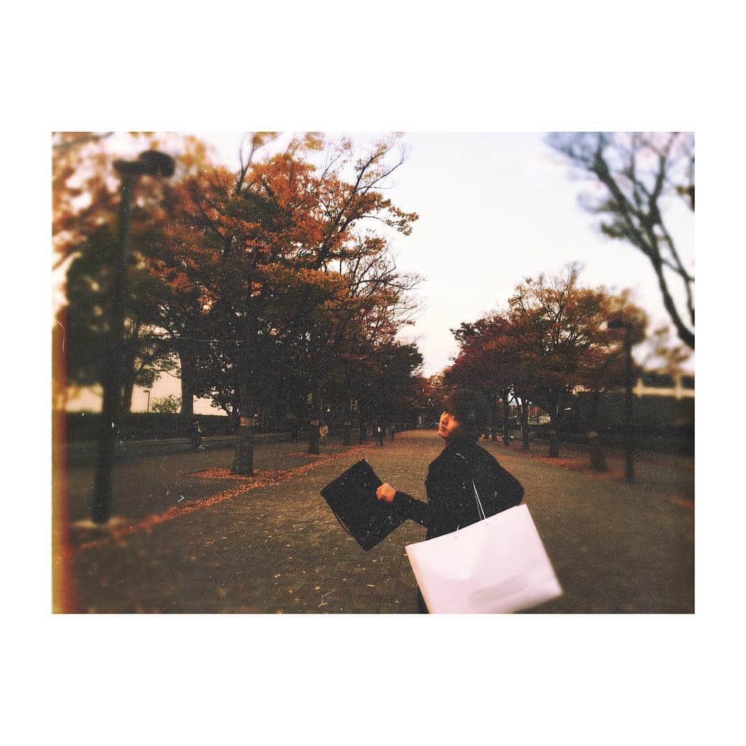 赤楚衛二さんのインスタグラム写真 - (赤楚衛二Instagram)「紅葉見にいこうよう。 なんつって。」11月15日 17時51分 - akasoeiji