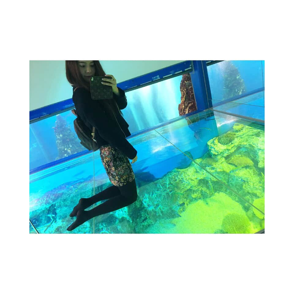 竹澤萌子のインスタグラム：「#インスタ映え 風に撮ってみた🤳⭐️🌈🐠 #越前松島水族館  にて🐬🏝💕 #dayoff#aquarium#drive#instagood#instalike#instapic#🐠#🐬#🐧#休日#水族館#福井#越前#魚#アザラシ#クラゲ#イソギンチャク#ペンギン#こないだ水族館行った時デンキナマズとかピラルクしか撮ってなかったし#いかに可愛く撮るか#頑張ってみた」