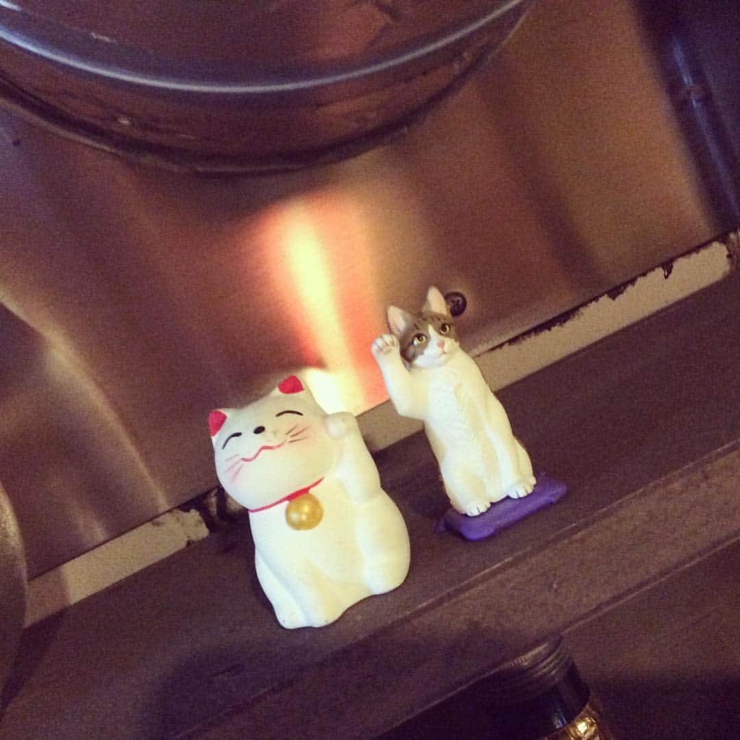 まじめや広島中央通り店のインスタグラム：「本日もありがとうございます✨  まじめやの招き猫ちゃん効果か 最近たくさんのお客さんにご来店いただけている気がします✨  まじめに不まじめなまじめやです！ ゆるーくワイワイしたお店になりますように😆 明日もお待ちしております🐱  #ちびっこ店長」