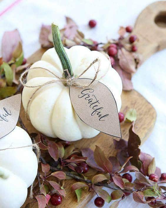 トレージャのインスタグラム：「Great idea for simple Thanksgiving decorations. #greatidea #simple #thanksgiving #decorations #pumpkin #grateful #berries  #natural #naturalbeauty」