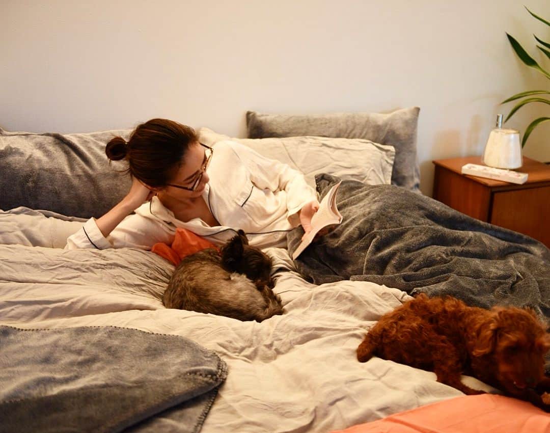 大日方久美子さんのインスタグラム写真 - (大日方久美子Instagram)「・ ・  新しいラコレのブランケットに犬たちが勢揃い。 犬って気持ちのいいものに寄ってくるんだよね💕😊 ・ シルクのような肌触りのブランケットは 人から自然に発生する湿気を利用して発熱する機能付き😳 ・  愛用しているバスタオルもそうだけど ラコレの機能性を備えた日常品は優秀で感心します👏🏻✨ ・ 枕カバーとシーツもブランケットと同じカラーで揃えたらベッドルームがシックな雰囲気になって嬉しい😊 ・ シーツには発熱機能はないけどそれでも十分暖かいので 寒がりな私の冬のマストアイテムです。 冬用のシーツなしはもう考えられないくらい必須👍 ・ ・ #kuminewhouse ・ ・ #LAKOLE #ラコレ #lifefunction #ライフファンクション #発熱 #ヒートジェネレーション #やさしいぬくもり #マイクロファイバー #blanquette #ブランケット #LAKOLE_LifeSTYLIST #PR#インテリア」11月16日 13時30分 - kumi511976