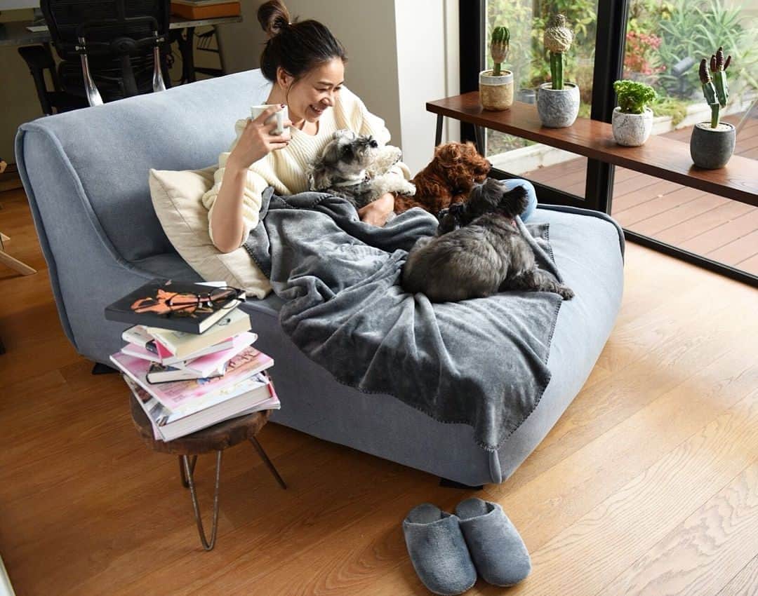 大日方久美子さんのインスタグラム写真 - (大日方久美子Instagram)「・ ・  新しいラコレのブランケットに犬たちが勢揃い。 犬って気持ちのいいものに寄ってくるんだよね💕😊 ・ シルクのような肌触りのブランケットは 人から自然に発生する湿気を利用して発熱する機能付き😳 ・  愛用しているバスタオルもそうだけど ラコレの機能性を備えた日常品は優秀で感心します👏🏻✨ ・ 枕カバーとシーツもブランケットと同じカラーで揃えたらベッドルームがシックな雰囲気になって嬉しい😊 ・ シーツには発熱機能はないけどそれでも十分暖かいので 寒がりな私の冬のマストアイテムです。 冬用のシーツなしはもう考えられないくらい必須👍 ・ ・ #kuminewhouse ・ ・ #LAKOLE #ラコレ #lifefunction #ライフファンクション #発熱 #ヒートジェネレーション #やさしいぬくもり #マイクロファイバー #blanquette #ブランケット #LAKOLE_LifeSTYLIST #PR#インテリア」11月16日 13時30分 - kumi511976