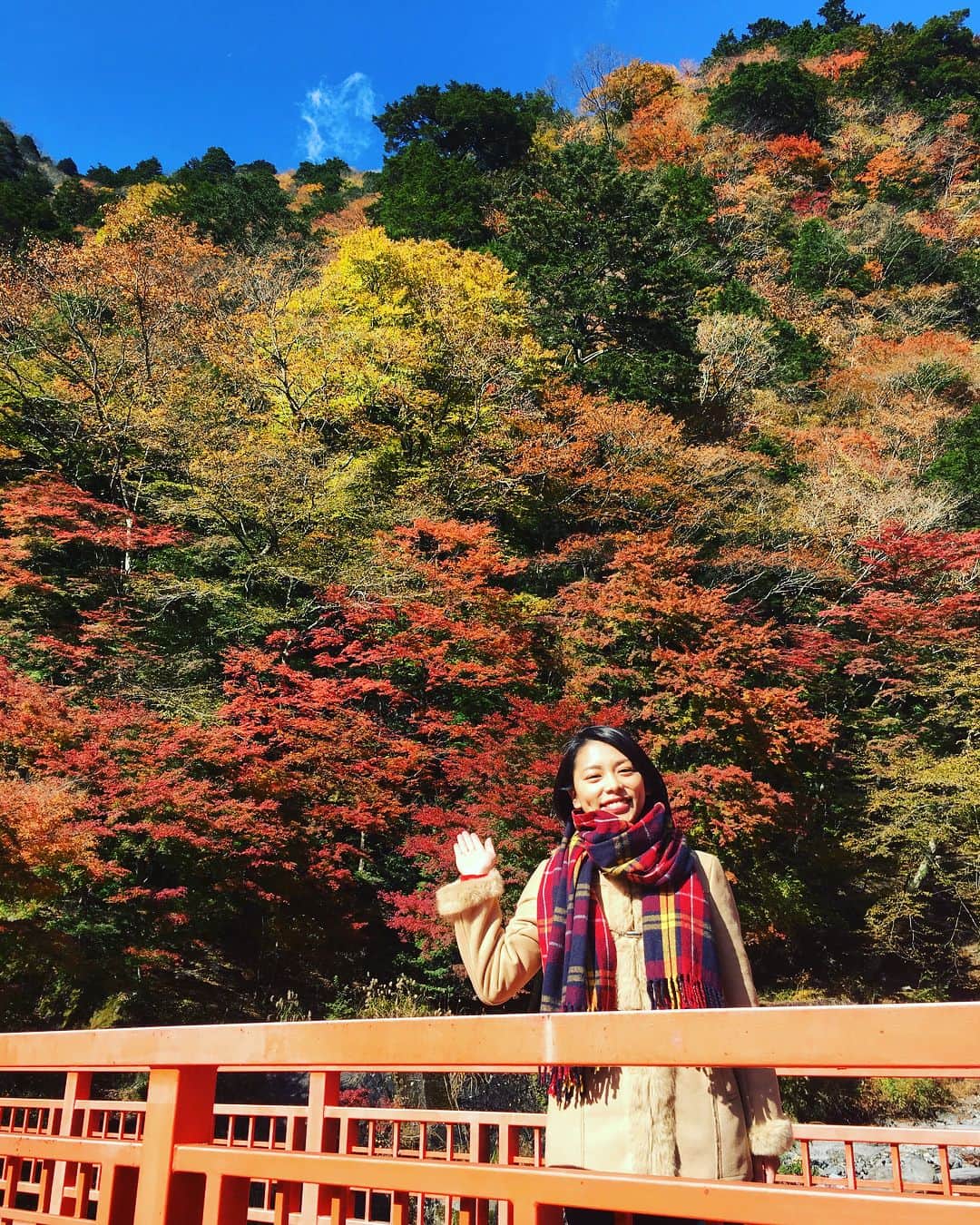 のインスタグラム：「癒されます☺️梅ヶ島温泉の紅葉、今が見頃です🍁 #国民保養温泉 に5月に指定 #静岡市 #おくしず  #梅ヶ島温泉  #静岡市 から車で1時間半！ #静岡 #紅葉  #温泉」