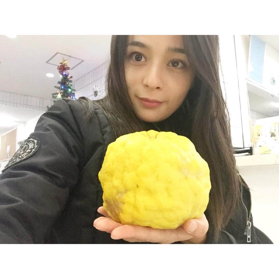 加藤ローサのインスタグラム