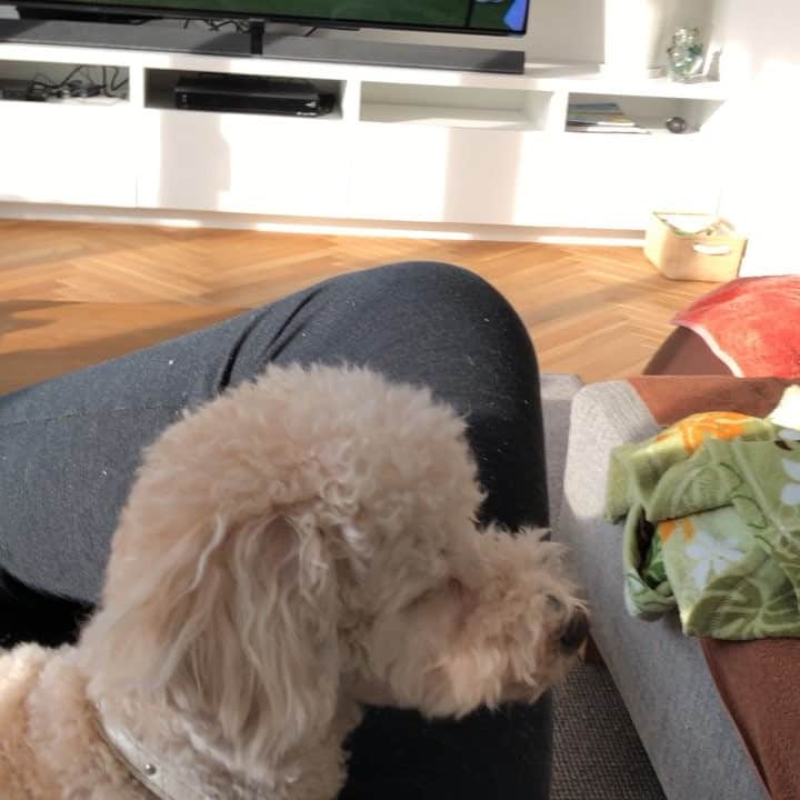 のインスタグラム：「#ダンロップフェニックストーナメント」