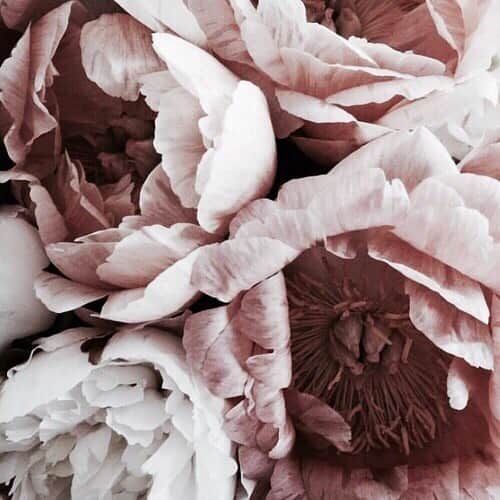 梯真奈美のグルメインスタ