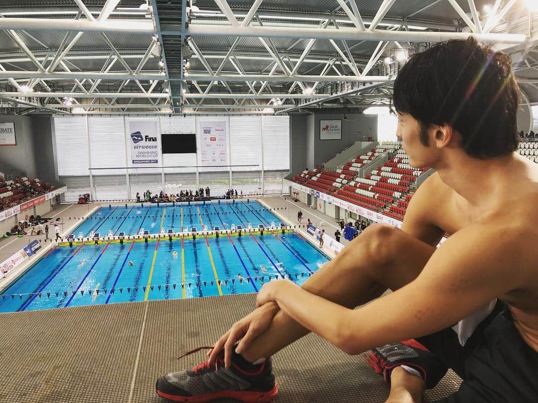 のインスタグラム：「The last world cup series 2017🇸🇬 Photo from 10m dive  明日からW杯最終戦のシンガポール！ベスト更新目指して来年につながるレースを👍🏻 シンガポールは暖かくて気持ちいい…  #singapore #swc2017 #fina #lastonefastone」