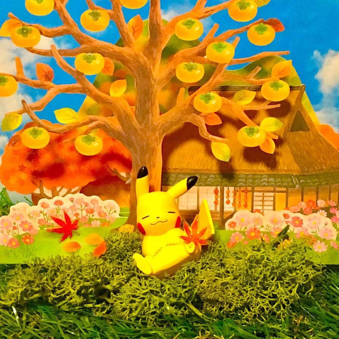 ピカチュウ公式Instagramさんのインスタグラム写真 - (ピカチュウ公式InstagramInstagram)「【今日のピカチュウ】 気持ちいい秋晴れ🍂 風邪ひかないようにね☺️ #pikachu #pokemon #fall #pikachu_snap #photooftheday #ピカチュウ #ポケモン #秋」11月17日 17時55分 - pokemon_jpn