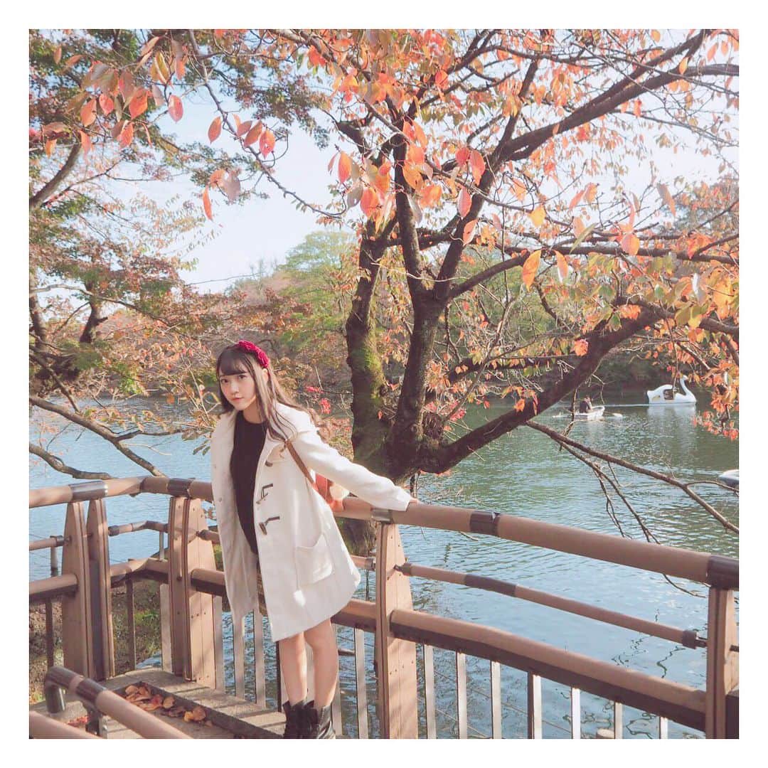 宮島るりかのインスタグラム：「🍁 秋感じてきた( ˙꒳​˙ ) 紅葉きれいだったなぁ〜！ * #吉祥寺 #井の頭公園 #紅葉 #秋 #데일리록  #옷스타그램  #코디  #오오티디 #풍경」