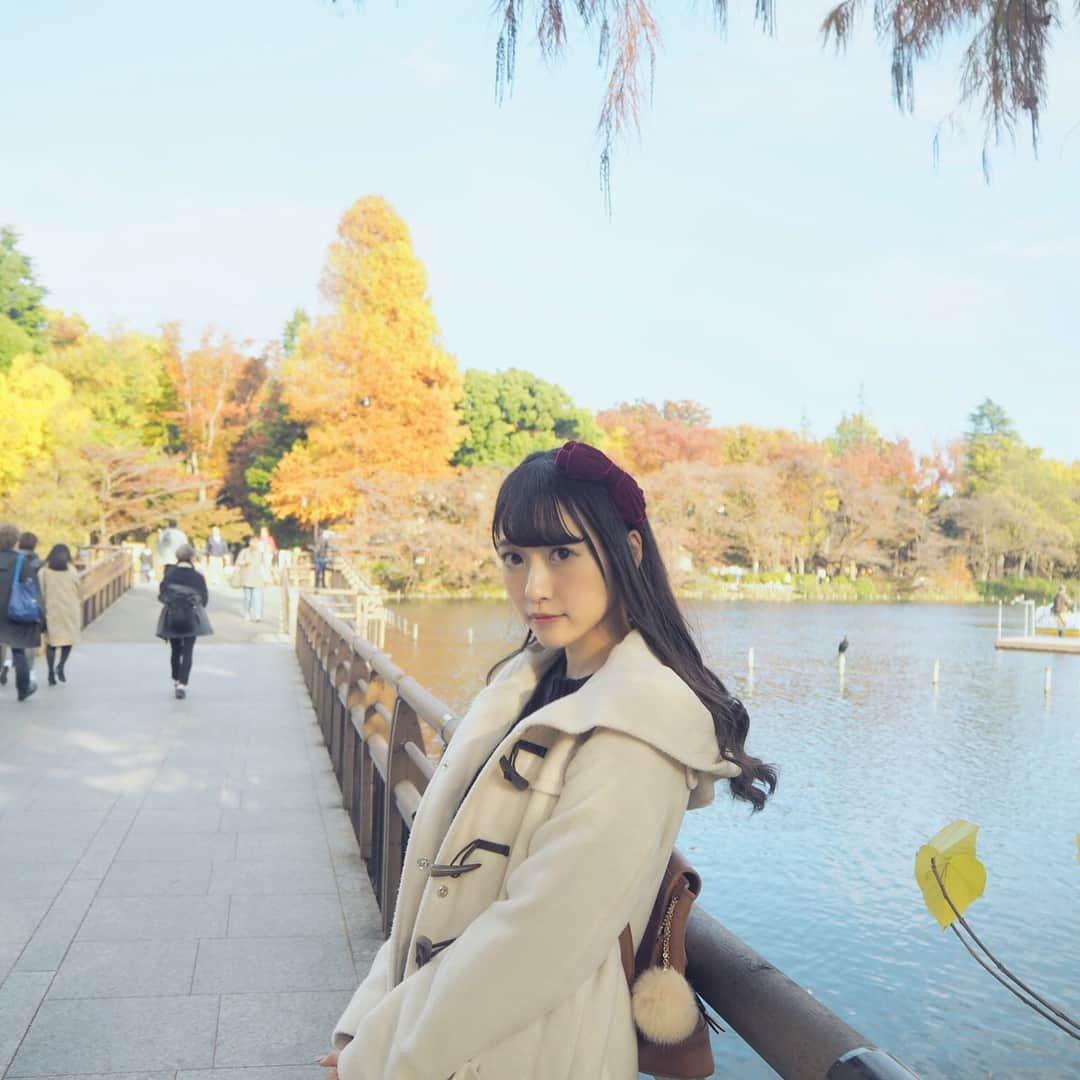 宮島るりかさんのインスタグラム写真 - (宮島るりかInstagram)「🍁 秋感じてきた( ˙꒳​˙ ) 紅葉きれいだったなぁ〜！ * #吉祥寺 #井の頭公園 #紅葉 #秋 #데일리록  #옷스타그램  #코디  #오오티디 #풍경」11月17日 21時39分 - musubizm_rurika