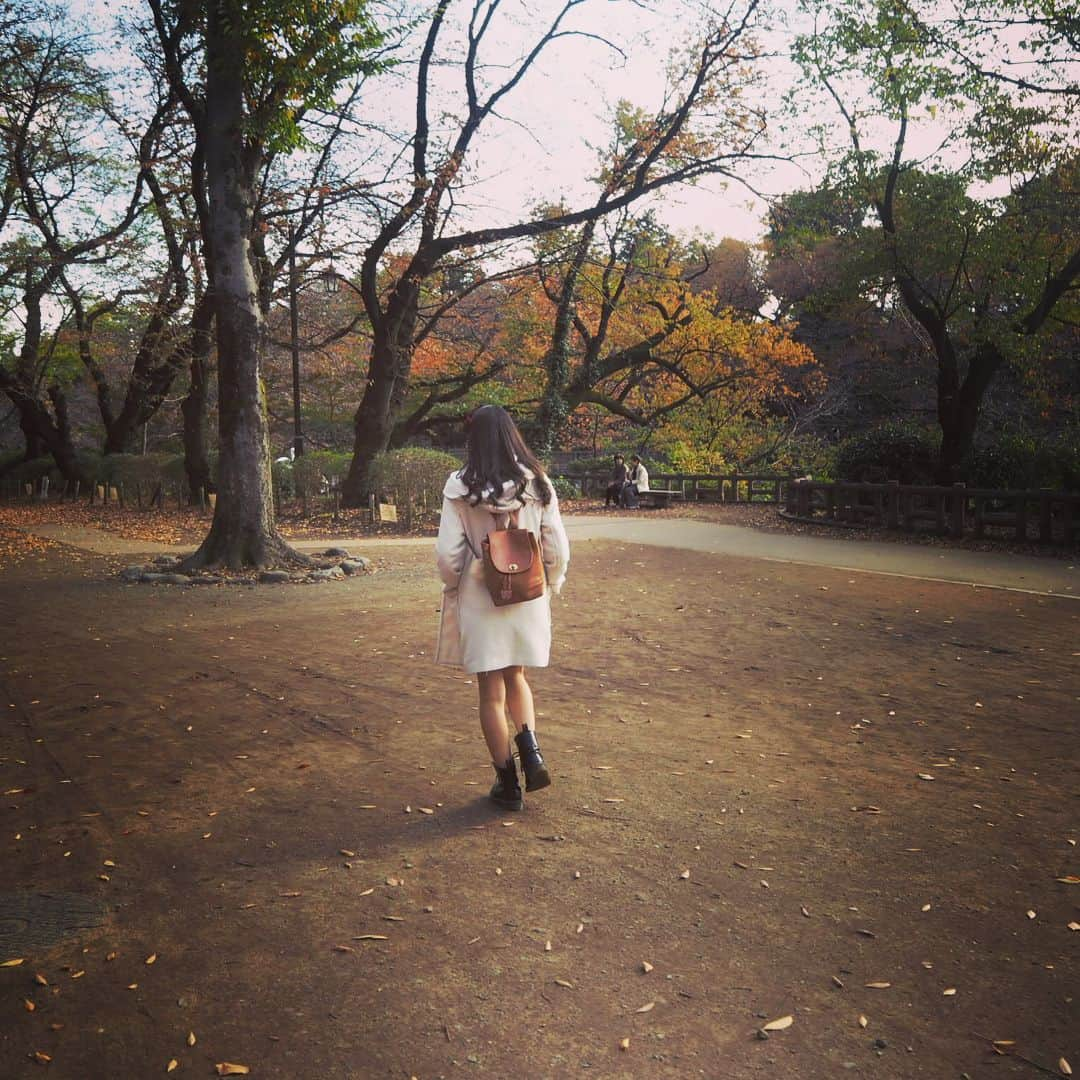 宮島るりかさんのインスタグラム写真 - (宮島るりかInstagram)「🍁 秋感じてきた( ˙꒳​˙ ) 紅葉きれいだったなぁ〜！ * #吉祥寺 #井の頭公園 #紅葉 #秋 #데일리록  #옷스타그램  #코디  #오오티디 #풍경」11月17日 21時39分 - musubizm_rurika