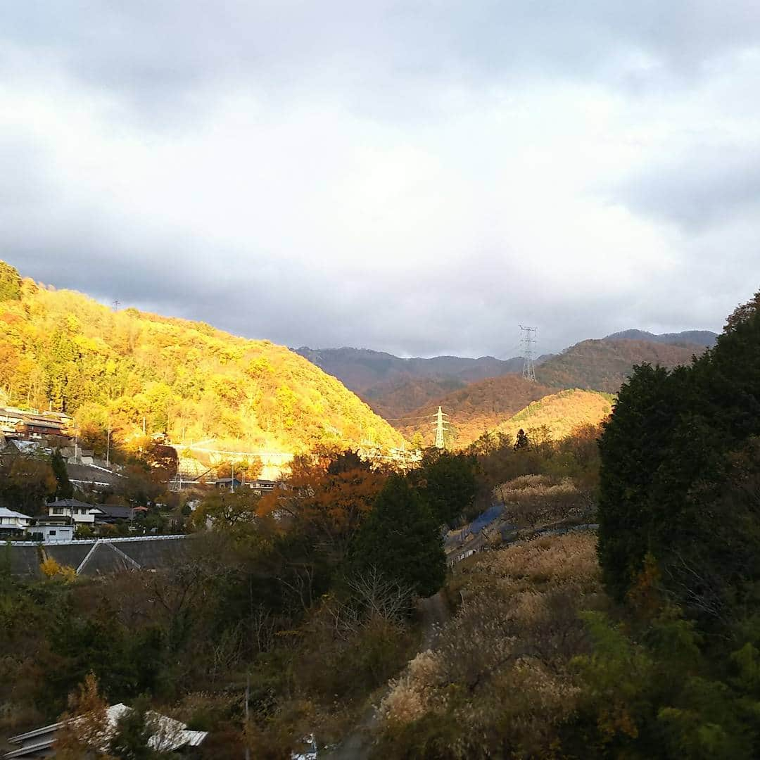 小野竜輔さんのインスタグラム写真 - (小野竜輔Instagram)「昨日から、いつもお世話になってる兄さん方に八ヶ岳キャンプ旅行につれてってもらいやした。 でっけー鶏肉焼いたりカレー作ったりピザ焼いたりして、今日は朝からシチュー食べて帰りにほったらかし温泉いって至福すぎ！ 幸せすぎ！ 明日からまたがんばろ！  #八ヶ岳 #ほったらかし温泉 #寒かったけど最高やった #またいつか行きたいね」11月17日 21時50分 - onodora0813