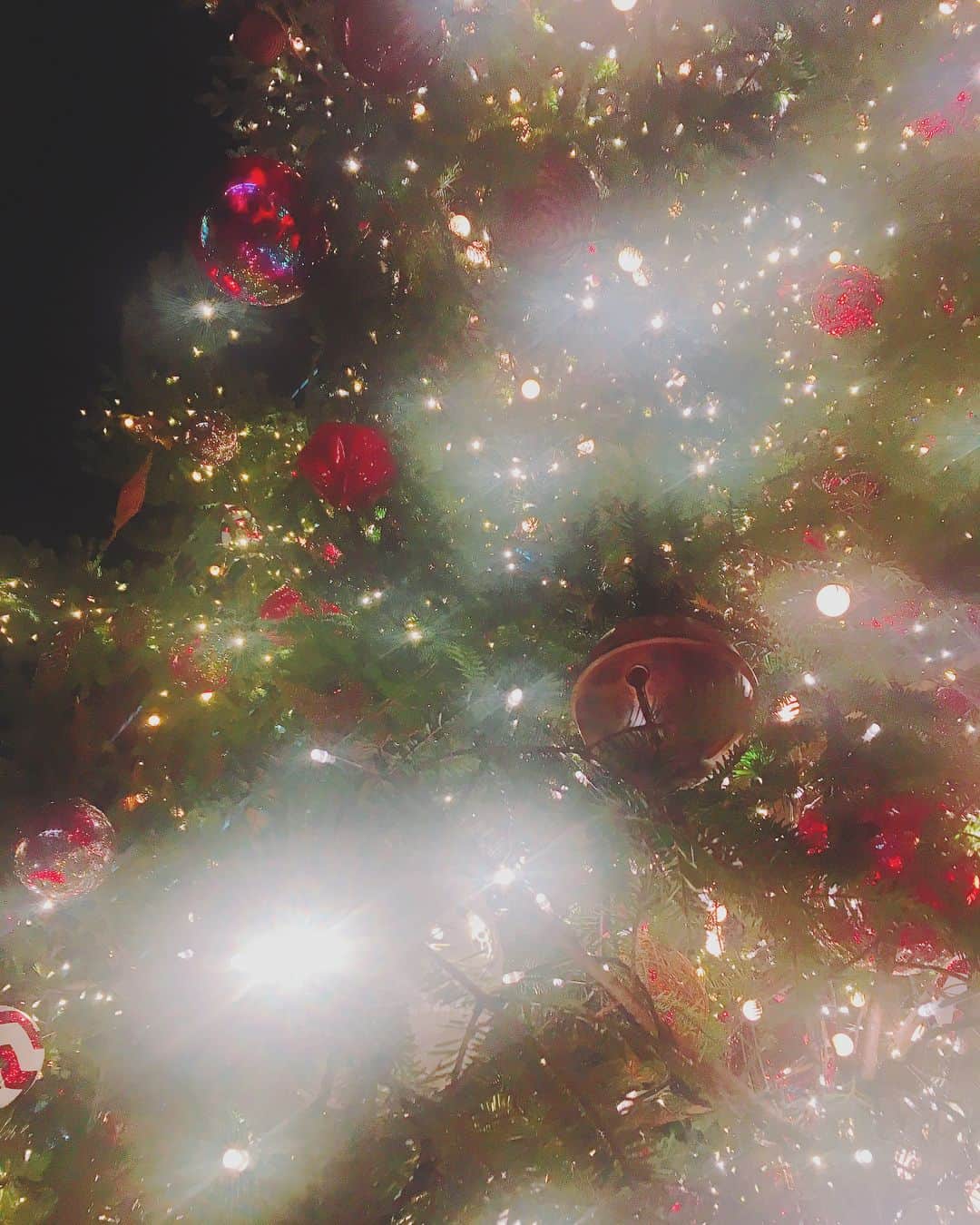 青木千春さんのインスタグラム写真 - (青木千春Instagram)「＊ ＊ ＊ Xmas🎄❄💗 クリスマスの時期が やってきた〜*ଘ(੭*ˊᵕˋ)੭* ੈ✩‧₊˚ クリスマスの雰囲気とか イルミネーションとか いちばん好きな季節...♪*ﾟ ＊ ＊ ＊  #Xmas #クリスマスツリー #恵比寿ガーデンプレイス #イルミネーション #キラキラ #冬」11月18日 0時04分 - chiiihaaarun