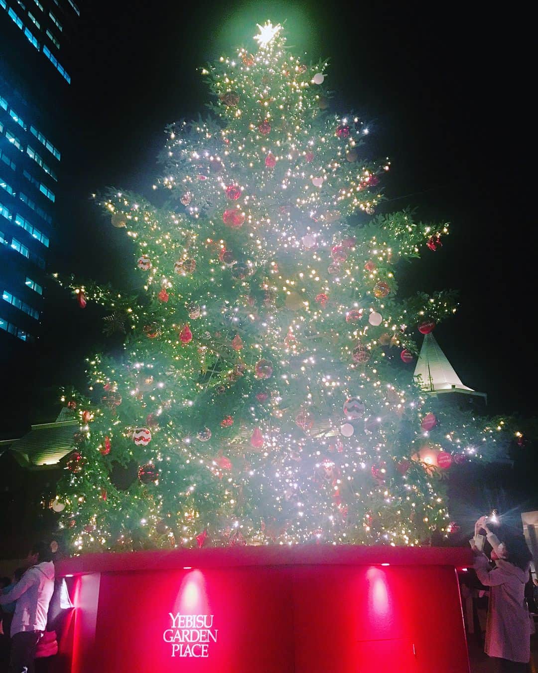青木千春のインスタグラム：「＊ ＊ ＊ Xmas🎄❄💗 クリスマスの時期が やってきた〜*ଘ(੭*ˊᵕˋ)੭* ੈ✩‧₊˚ クリスマスの雰囲気とか イルミネーションとか いちばん好きな季節...♪*ﾟ ＊ ＊ ＊  #Xmas #クリスマスツリー #恵比寿ガーデンプレイス #イルミネーション #キラキラ #冬」