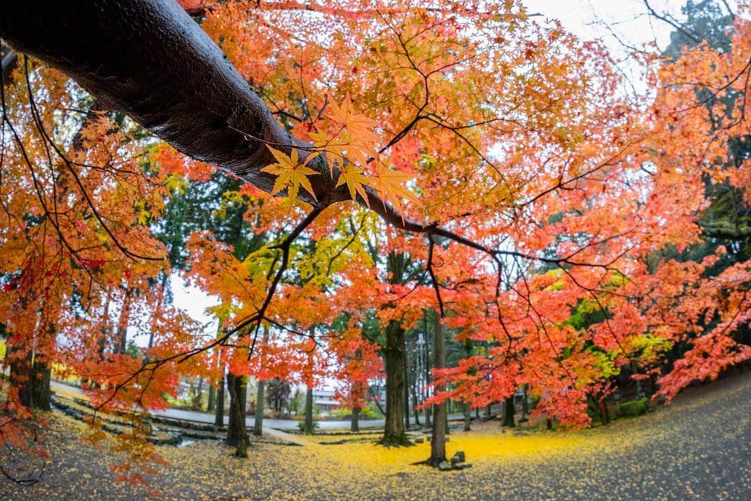 滋賀県長浜市のインスタグラム