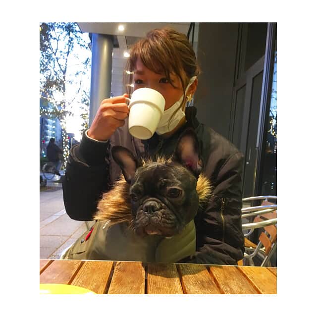 RENA（久保田玲奈）さんのインスタグラム写真 - (RENA（久保田玲奈）Instagram)「Holiday life...❤️ #おはぎ #みたらし #フレンチブルドッグ #OHAGI #MITARASHI #frenchbulldog #holiday」11月19日 17時12分 - sb_rena
