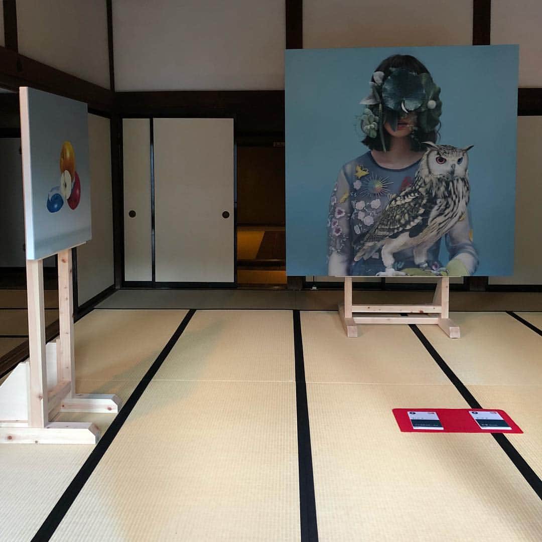 林信行のインスタグラム：「薄久保香「化鳥」 #かけがわ茶エンナーレ」