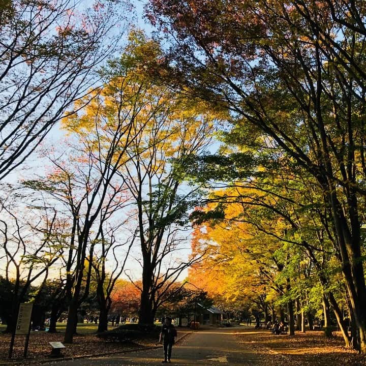 柴崎竜人のグルメインスタ