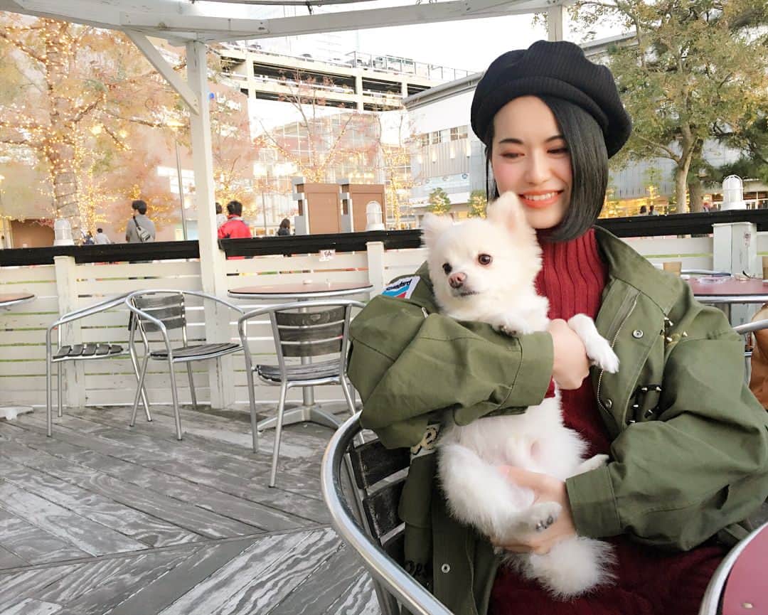 七尾エレナのインスタグラム：「休日🐶☕️♡ ＊ ＊ ＊ ＊ ＊ ＊ ＊ ＊ ＊ ＊ ＊ ＊ ＊ #ベレー帽 ☞ @equl_shop (bo-215) #ジャケット ☞ @equl_shop (bo-134) #ワンピース ☞ @grandeir (330761200916) ＊ #休日コーデ #日曜日 #ドッグカフェ #犬連れランチ #equl #grandeir #PR」