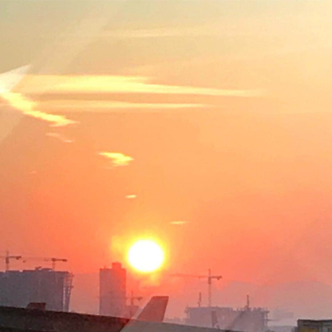杉咲花のインスタグラム：「🌞 夜空はいつでも最高密度の青色だ を観て、詩集も買って、どちらも大好きになった。ページの中の「新宿東口」なんて 夢の中でも言葉が蘇るほど読んだ。最果タヒさんから零れる言葉はシンプルで、もともと知ってる言葉のはずなのに、全部初めて出会った気分。そして読んでいるとなぜだかそれだけでは足りなくなって、いつのまにか声が出てしまう 「千年後の百人一首」も楽しみ。もうすぐですね。」