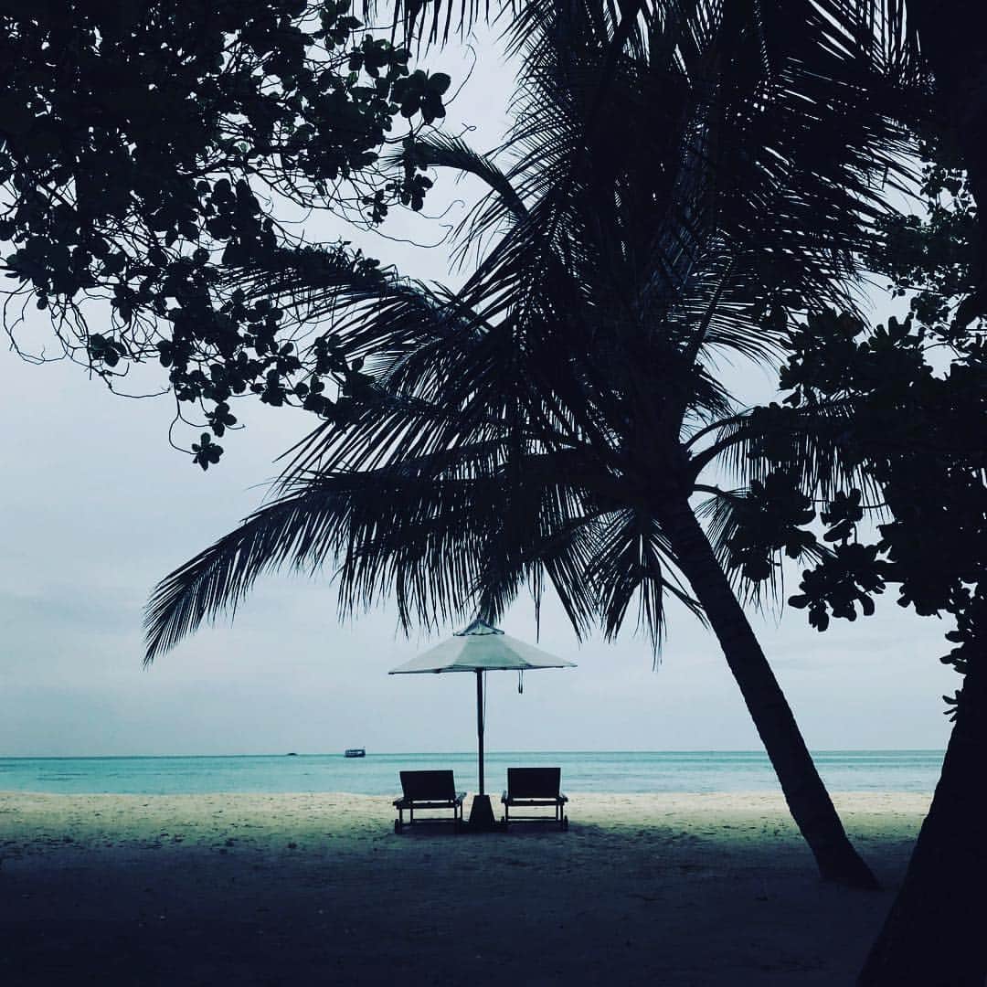 高橋絵理のインスタグラム：「Good job today･:* みんなゆっくり休んでね〜✴︎ . . 部屋から出てすぐのプライベートビーチ。 夜には星空が楽しめました。  #birthdaytrip #beach  #maldives  #luxsouthariatoll #lategram #travelgram #beautiful」