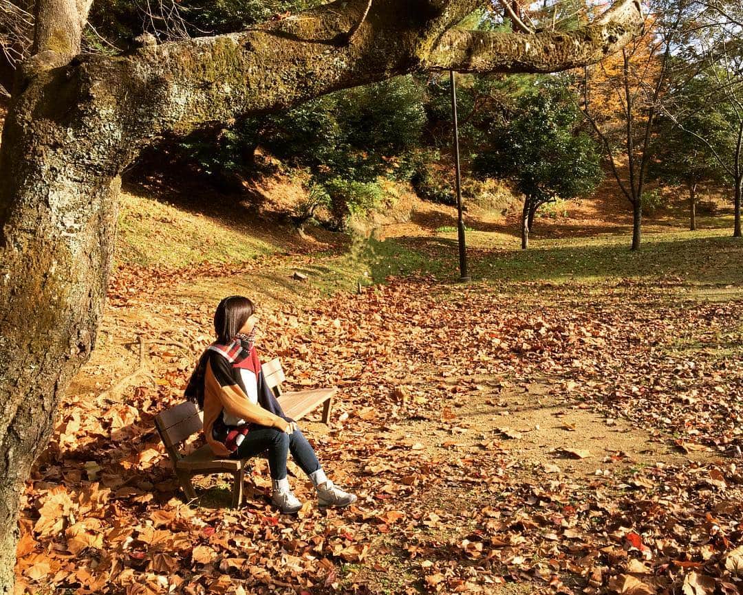 小山玲奈さんのインスタグラム写真 - (小山玲奈Instagram)「1人ぽつん。 儚い季節。  #秋」11月21日 15時37分 - reina_koyama_official