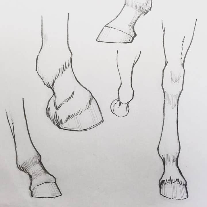 長池とも子のインスタグラム：「馬脚 #馬#らくがき #落書き」