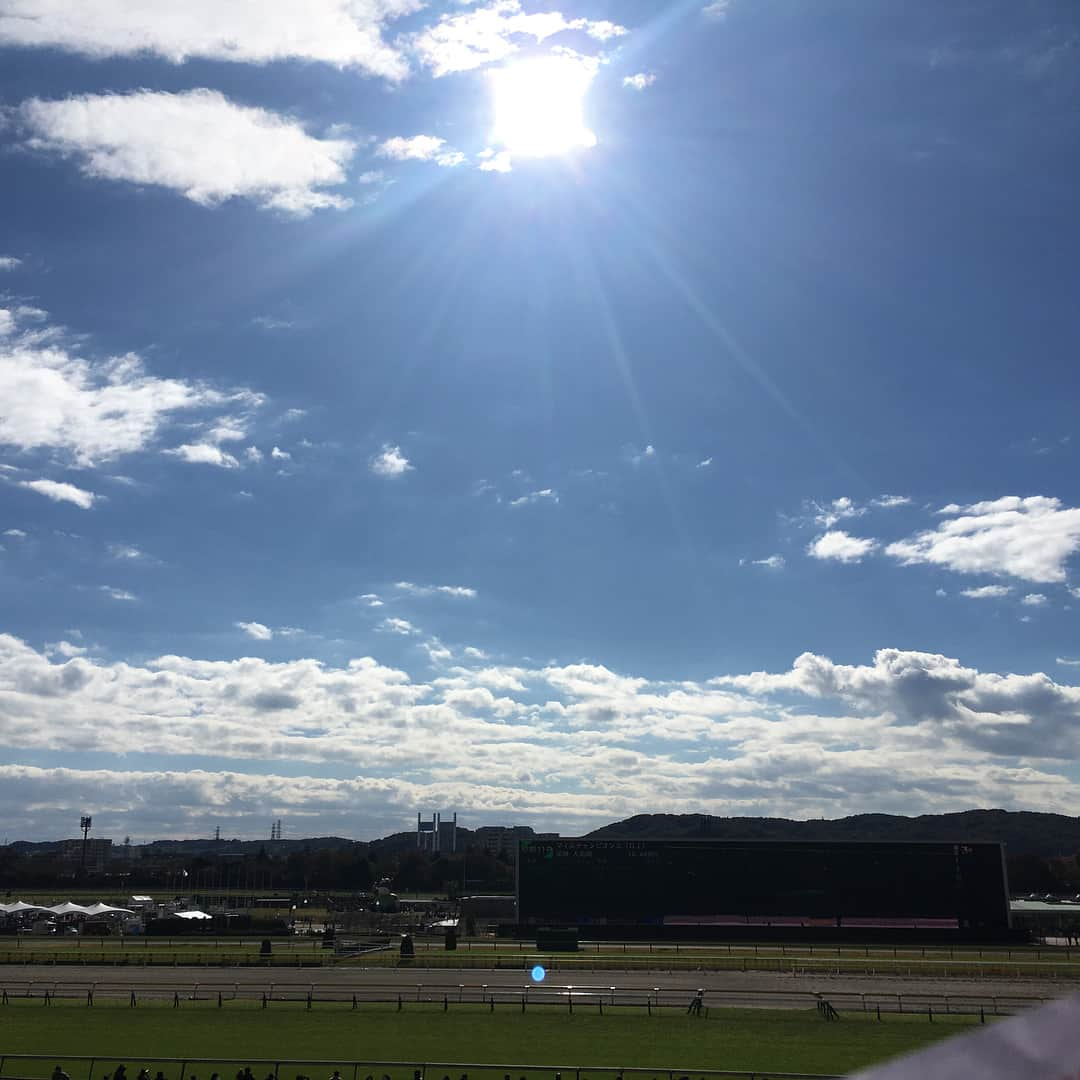 佐藤美樹さんのインスタグラム写真 - (佐藤美樹Instagram)「東京競馬場、レーシングトークライブありがとうございました。競馬予想一日にしてならず。でも、出演者の皆さんと見に来てくださったみなさんのおかげで、とっても楽しかったです😘今週の日曜日は、REXのパワーアップセミナーがありますよ！講師は馬サブローの木村さん🐎 #東京競馬場 #レーシングトークライブ #佐藤美樹 #谷桃子さん #キャプテン渡辺さん #辻三蔵さん #木村拓人さん #イベント #競馬予想イベント #競馬女子 #マイルチャンピオンシップ #ジャパンカップ #フリーアナウンサー」11月21日 17時48分 - satomiki0224