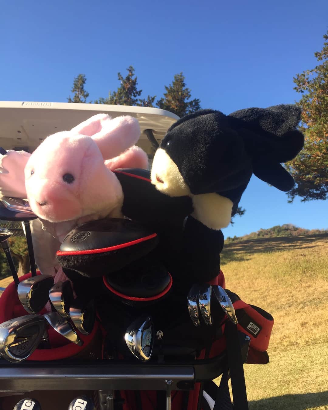 相川友希のグルメインスタ