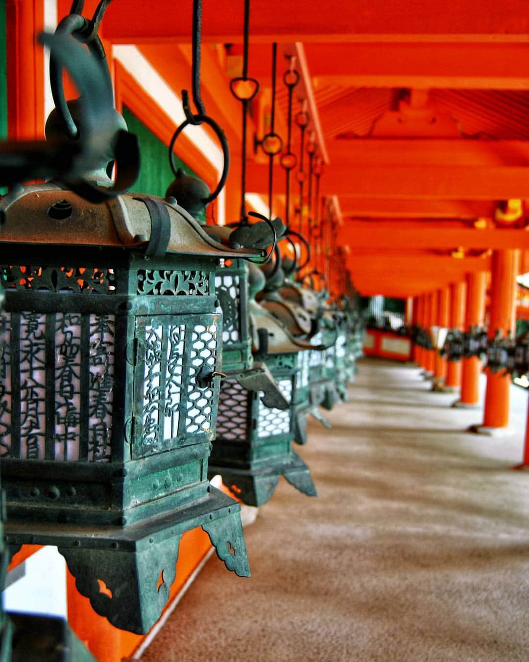 Giuliaのインスタグラム：「Mi pace un sacco fare foto ai dettagli 😍 Giappone, Nara ✈ Kasuga Taisha ･ このような写真をとるのが大好き～ In ✈ 春日大社 ･奈良 ･ ･ #wow #japan #giappone #nara #奈良 #日本 #beautiful #follow #followme #amazing #akihabara #鹿 #instamood #picoftheday #view #instacool #like4like #l4l #lfl #instatrip #igersitalia #instapassport #city_explore #japanlover #japantrip  #ilovejapan #instagramjapan #ig_japan」