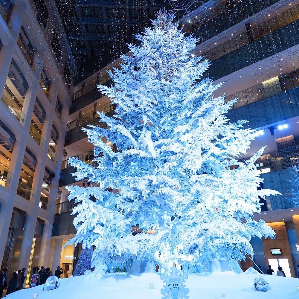 東京ステーションホテルTokyo Station Hotelさんのインスタグラム写真 - (東京ステーションホテルTokyo Station HotelInstagram)「先程、丸の内のKITTEでクリスマス点灯式が行われました。本物のモミの木を使った美しいツリーです！ * Illumination of Christmas tree has just started at KITTE marunouchi, nearby Tokyo Station. It is dazzling “White Tree”, used true fir tree and reach over 14 meters height! #kitte #christmastree #whitetree #whitekitte #xmas #christmass #tokyostationhotel #tokyostation #marunouchi #hotelsfortheholidays #クリスマスツリー #ホワイトクリスマス #東京ステーションホテル #東京駅 #丸の内」11月22日 20時12分 - tokyostationhotel