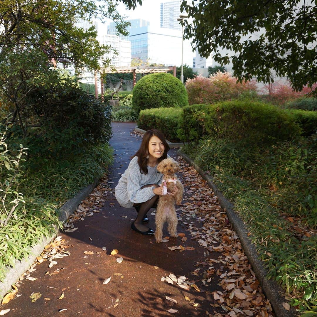 市原彩花さんのインスタグラム写真 - (市原彩花Instagram)「今日はどこに行く？☺️ #お散歩#秋晴れ#犬#dog . @mikofukutake の愛犬クレア🐶💕」11月22日 14時10分 - ayaka_ichihara
