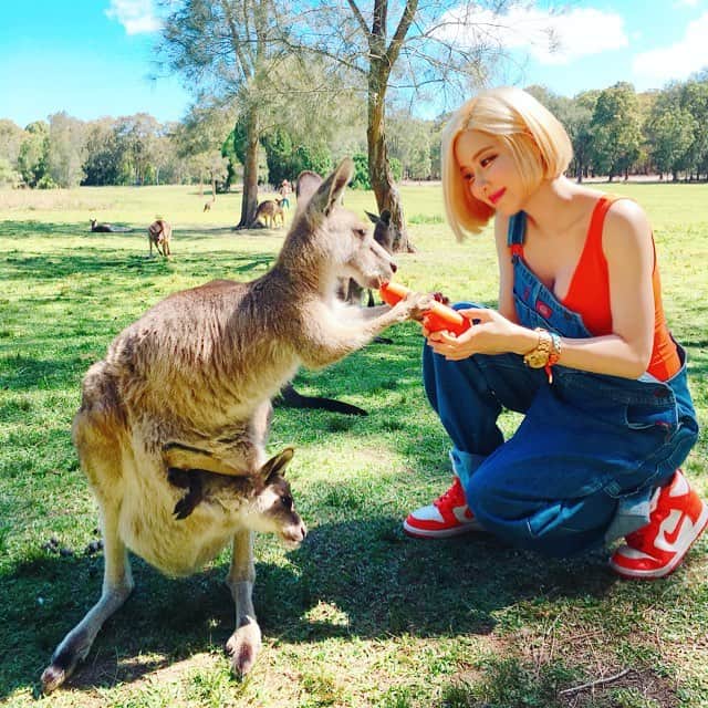 Dj Sodaさんのインスタグラム写真 - (Dj SodaInstagram)「호주에 도착하자마자 두시간동안 기차타고 캥거루 보러왔어용😍 With my lovely #kangaroo family in #australia !!💕💕」11月22日 19時19分 - deejaysoda