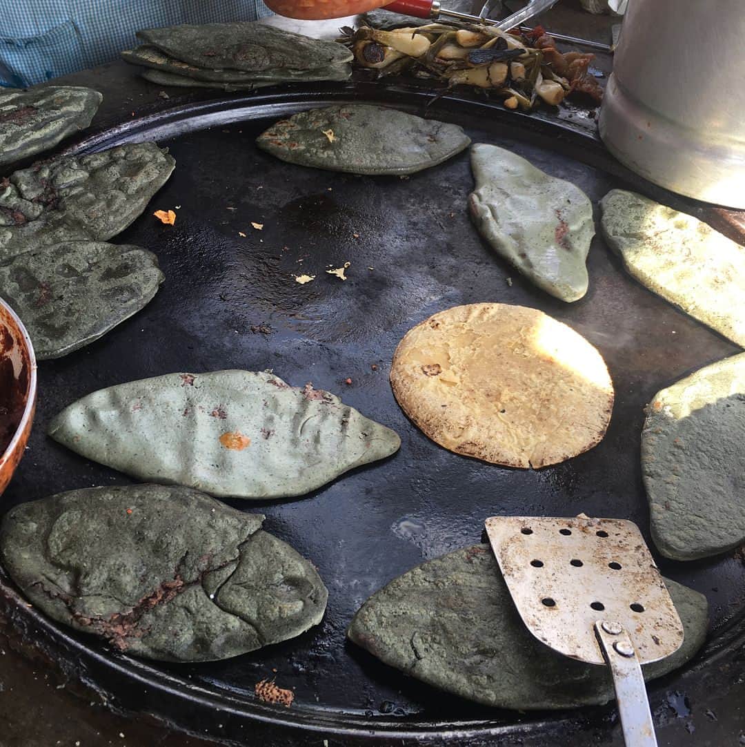 亀田和毅さんのインスタグラム写真 - (亀田和毅Instagram)「Comiendo quesadillas muy ricas.  Mañana empezar duro trabajo!!! 日曜日はゆっくりゆっくり！！！しかしタコス美味しいな。  明日からまた一週間練習頑張るぞ💪  #メキシコ #タコス #美味しい #リラックス #tacos #ricos #quesadillas #domingo #relajando #tmk」12月18日 9時58分 - tomokikameda