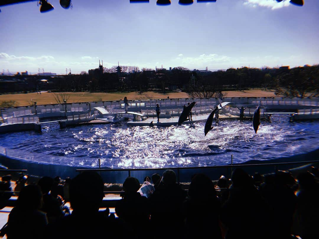 伊藤ゆりのインスタグラム：「マイラブな人妻たちとの戯れ 京都水族館、できたての時よりコンテンツふえてたヽ(´▽｀)/ ふかふかクッションに横になりながら深海気分を味わえるのでおすすめ！！！シナモンたんがかわいすぎてかわいすぎて(T ^ T)💋💋 桑田さまのライブは、なんで26年間行かなかったんだろうって、間違いなく人生で一番後悔したライブ！愛とエロとロックな生き様が最高すぎた(T ^ T)こんなに泣いたライブはありませんことよ、、 . #京都水族館 #シナモン #かわいすぎる #オットセイ #シナモンフレンズ #スタンプラリー #イルカショー #桑田佳祐ライブツアー2017 #がらくたツアー #ナオミさん」