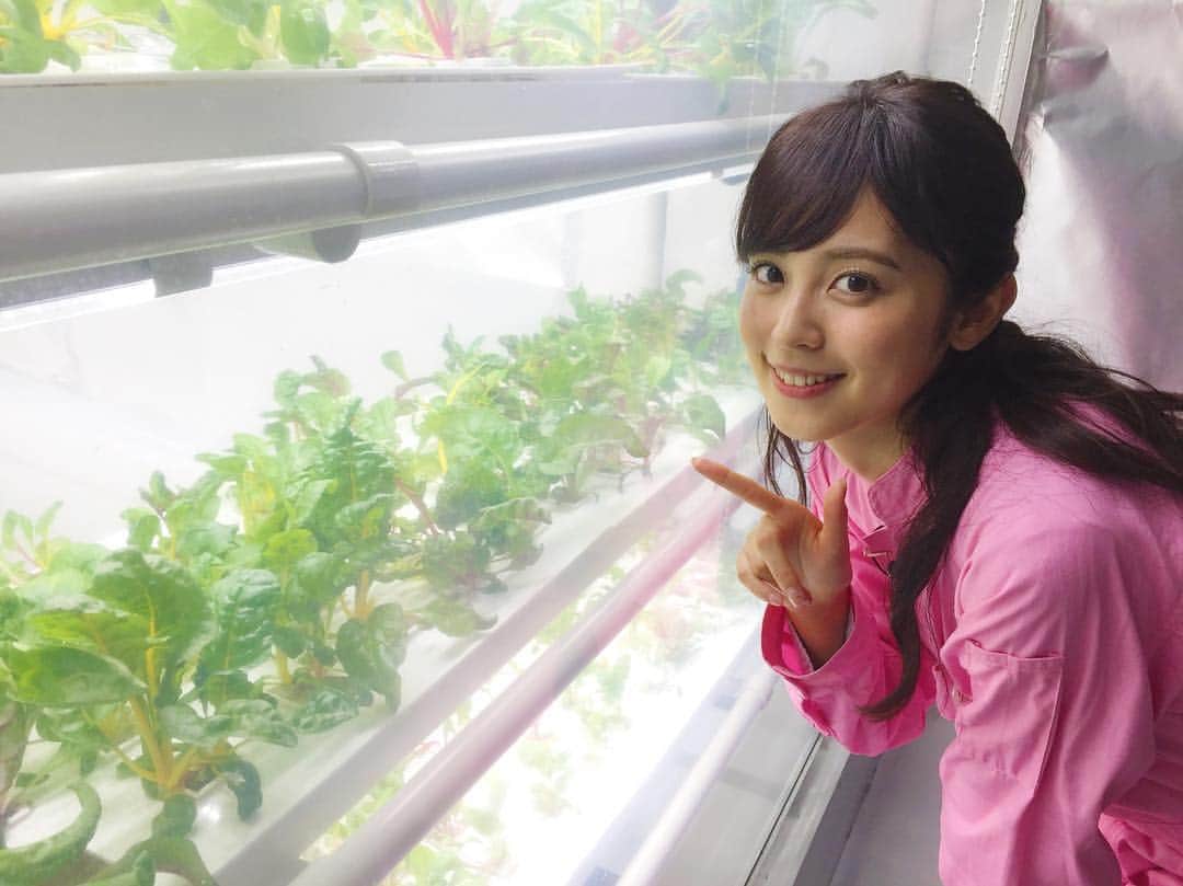 久慈暁子のインスタグラム