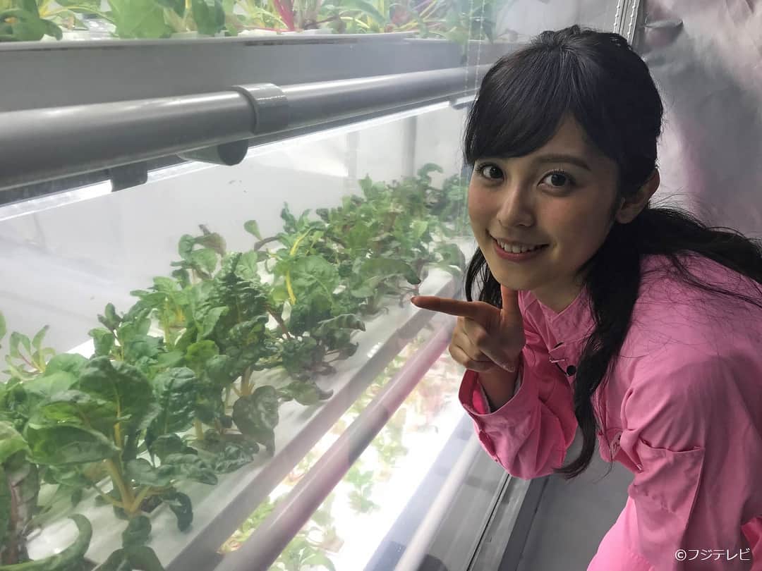 フジテレビ「めざましテレビ」のインスタグラム