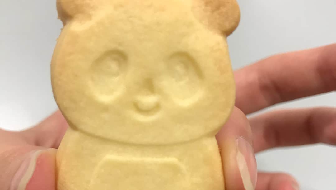 高橋麻美さんのインスタグラム写真 - (高橋麻美Instagram)「ぱんぱんぱんだぱーんっ(๑╹ω╹๑ )  #panda #ueno #cute」12月19日 21時00分 - charmy421