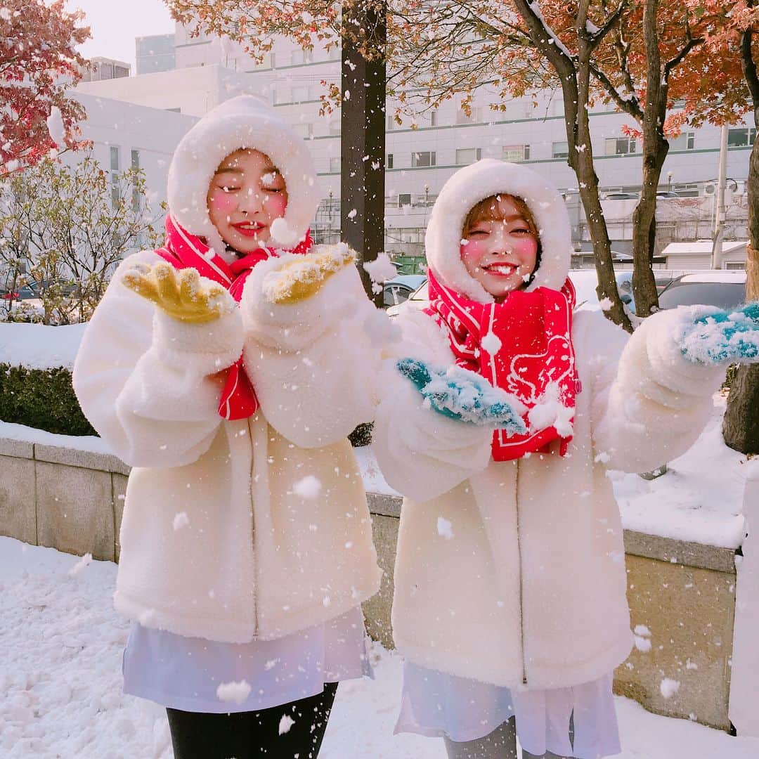Chuuさんのインスタグラム写真 - (ChuuInstagram)「#츄x빵빵덕 #입양가이드 _ 🐥#한정수량 으로 #조기소진 될 수 있습니다🐥 _ ✔️#온라인(www.chuu.co.kr) -12/24 정오 12:00 판매시작(선착순판매 주문완료 기준) -온라인몰 가입회원만 구매가능(네이버페이 결제 불가능) -온라인 상품배송은 12/27(수)부터 시작 _ 🔸온라인 구매 주의사항🔸 -1인1개 구매가능합니다(인형,슬리퍼,키링에 한함/의류 제외) ex)인형1,슬리퍼1,키링1 은 함께 구매가능합니다. 단일상품 2개이상은 구매불가능합니다. _ 🔸온라인 구매 TIP🔸 -트래픽이 증가하여 모바일 로딩이 느려 질 수 있으니 PC로 구매하는것을 추천합니다. -판매시작 전 미리 회원가입 해놓는걸 추천합니다. -장바구니는 비워 놓는게 당일 원활한 구매가 가능합니다. -주문 후 12시간내 미입금시 취소됩니다. -선착순은 주문완료 기준이므로 인증이 오래걸리는 카드결제보다는 무통장입금으로 결제하는게 빠릅니다. _ ✔️#오프라인(#츄홍대플래그쉽스토어 에서만 오픈) -12/24 정오 12:00 판매시작 -오전 11시부터 선착순 판매 번호표 교부(1인1번호표) _ 🔸오프라인 구매 주의사항🔸 -발급된 번호표를 받은 뒤 순서대로 대기하신 후 직원의 안내에 따라 입장 가능합니다. -번호를 호명 중에 부재중일 경우 구매순서가 인정되지 않고 다음번호로 넘어갑니다. -동행한 일행 대리구매 불가능 합니다. -티켓소지자에 한하여 1인1개 구매가능합니다(인형,슬리퍼,키링에 한함/의류 제외) ex)인형1,슬리퍼1,키링1 은 함께 구매가능합니다. 단일상품 2개이상은 구매불가능합니다.」12月20日 17時16分 - chuu_official