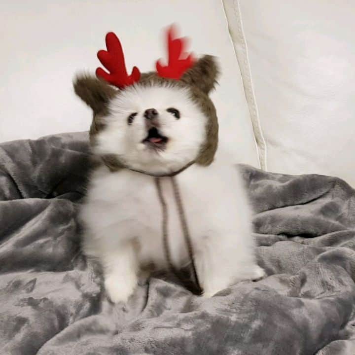 thesoy_yoonsoのインスタグラム