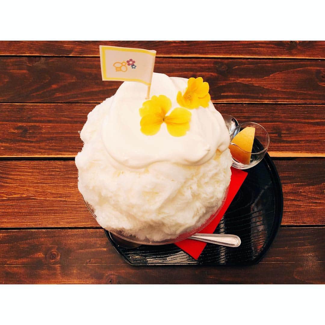 柏木由紀さんのインスタグラム写真 - (柏木由紀Instagram)「. 寒くても食べちゃう。 はちみつのかき氷🐝💭」12月21日 10時36分 - yukikashiwagi_official